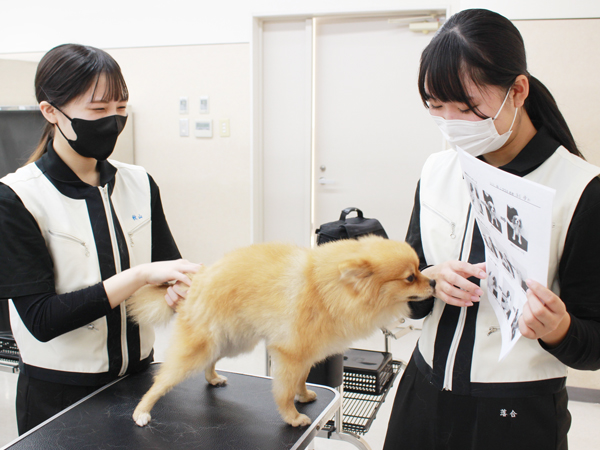 今日もドッグマッサージ☆